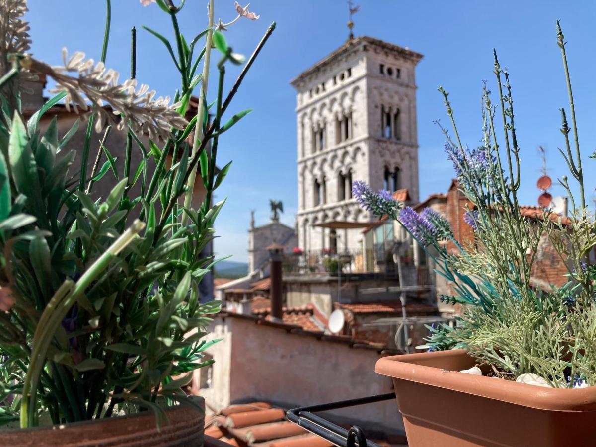 Terrazza San Michele - Affitti Brevi Italia Appartement Lucca Buitenkant foto